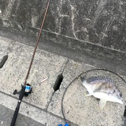 家族で投げ釣り