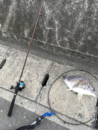 家族で投げ釣り