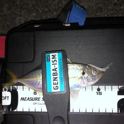 やっぱり足下は強かった…