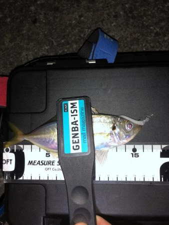 やっぱり足下は強かった…