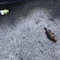 出勤前に。Part2