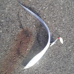 まだ早かった…