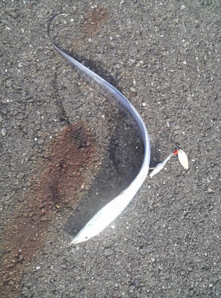 まだ早かった…