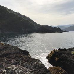 GWに遠征したら人生初のアオリイカが釣れた。