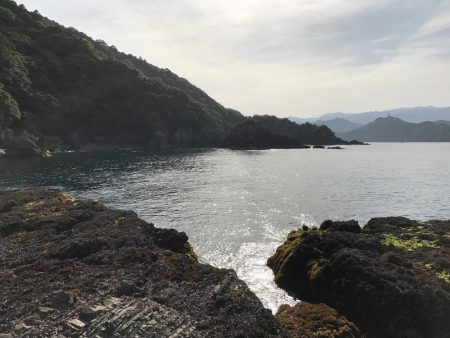 GWに遠征したら人生初のアオリイカが釣れた。