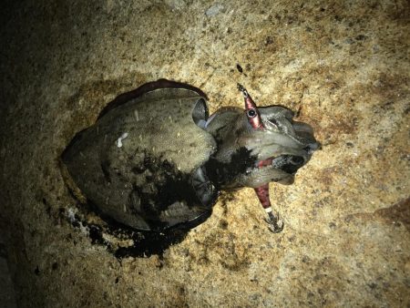 やぱいよ〜やぱいよ〜