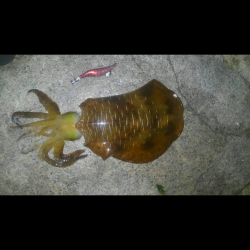 キャプテン〜奥気持ち〜^o^