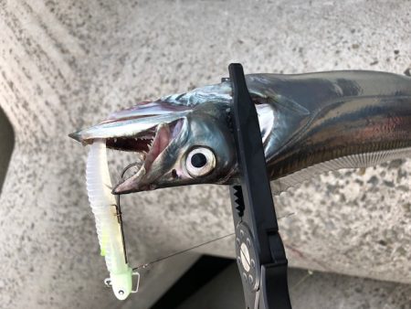 和歌山ワインド