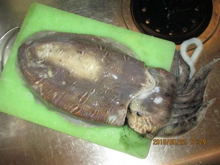 キロに届かず。