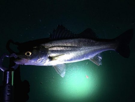 バチ抜け祭りで痛恨の2連続ラインブレイク……