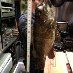 久しぶりの投稿