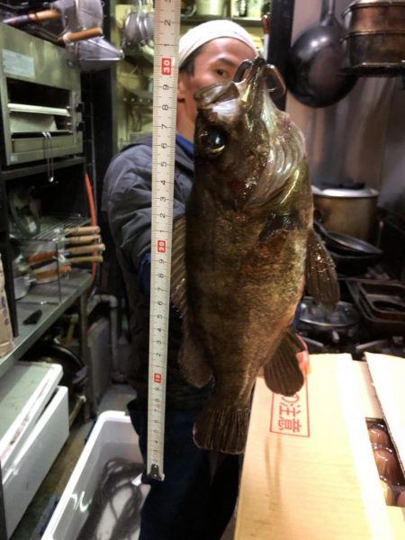 久しぶりの投稿