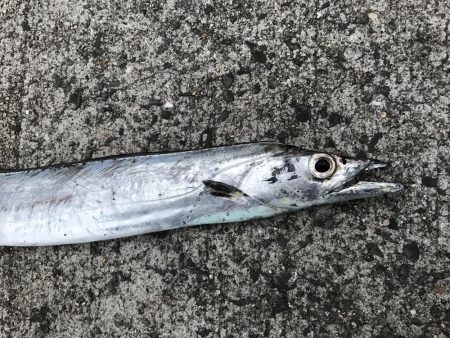 どんな状況でも活路はある