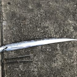 時合いを逃すな