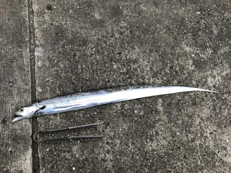 時合いを逃すな