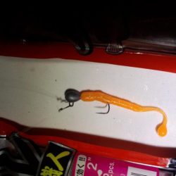 メバリング活性高い!でも…