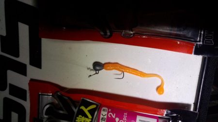 メバリング活性高い!でも…