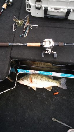 GW終盤まだシヤロー好調