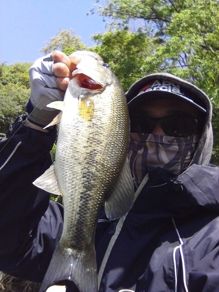 バスも寒いのは嫌い…