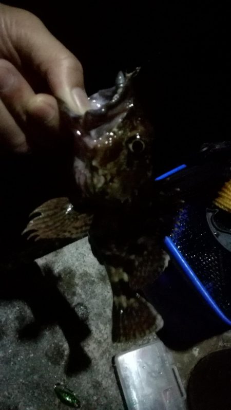 アジング成立せず