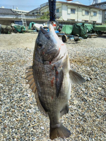 最後ののぞみをかけて