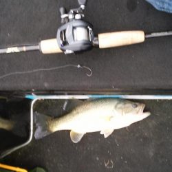 GW終盤の爆風は風裏で