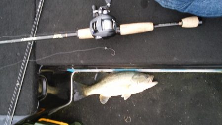 GW終盤の爆風は風裏で