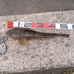 ウェーディング