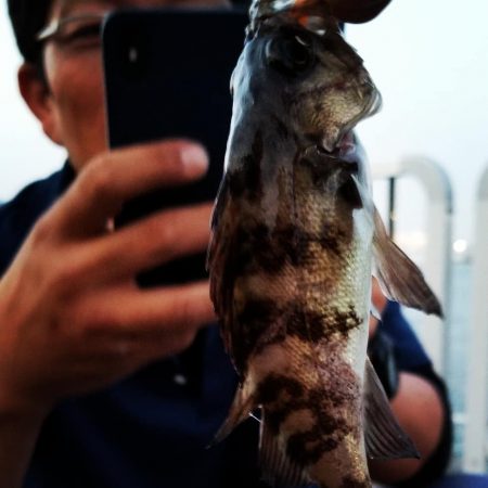 夢メッセ横にて