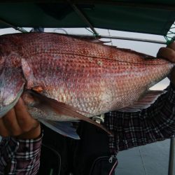 第二美丸　マダイ完全ふかせ