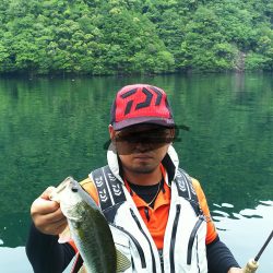 ネストを探して