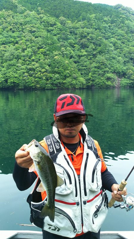 ネストを探して