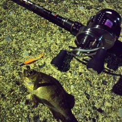 マゴチ狙いのはずが…