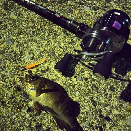 マゴチ狙いのはずが…