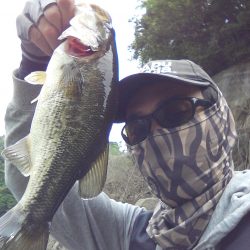 ちょっと注文多め?