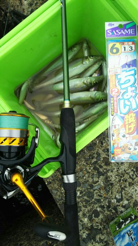 【芦屋～遠賀川河口】キス調査２