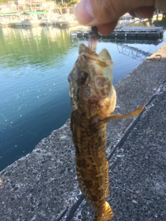 マイクロワインド