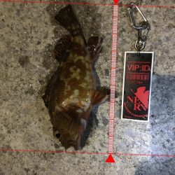 家族サービス後の夜釣り