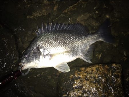 アクション変えたら