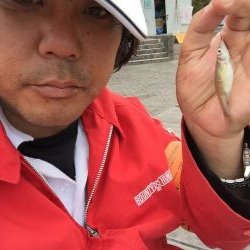 昼間は等々力緑地の管理釣り場で夜は多摩川のガス橋下で☆