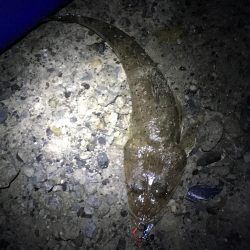 観潮船の港にて