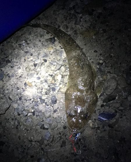 観潮船の港にて