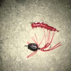 バチ抜け諦めチニングでGET