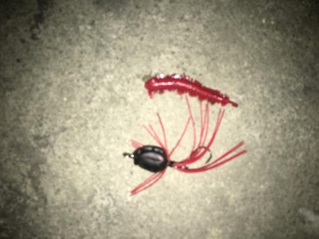 バチ抜け諦めチニングでGET