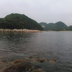 ちっちゃいなあ。