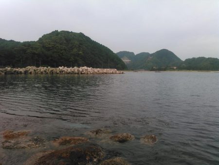 ちっちゃいなあ。