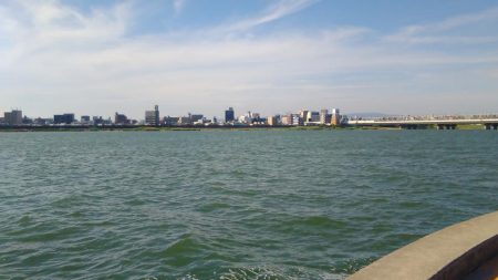 お昼過ぎに淀川へ行って来ました。