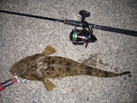 ワームのチョイ投げにて