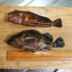 岩屋で穴釣り