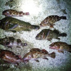 短時間穴釣りで8匹